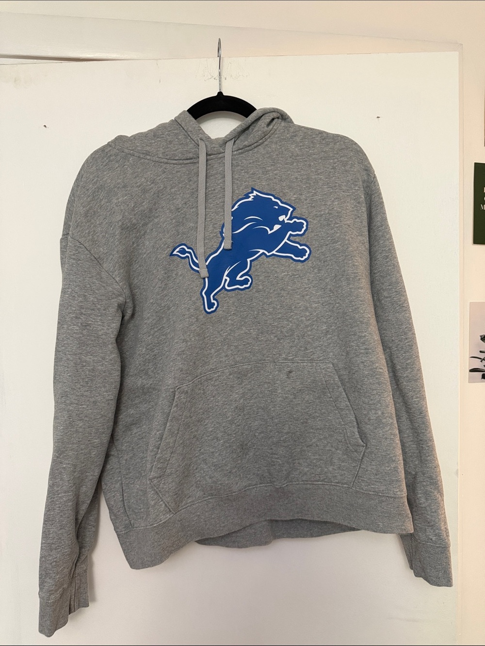 Detroit Lions Hoodie
